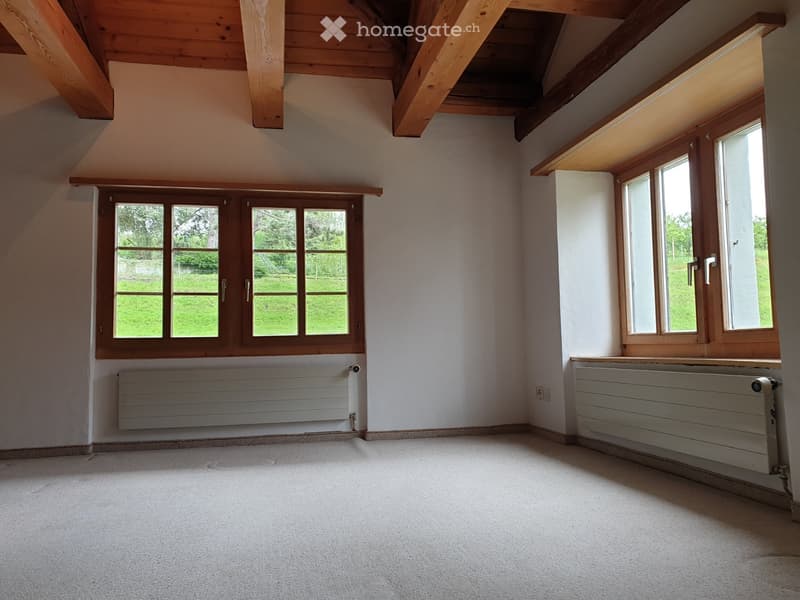 Grosszügige 4.5-Zimmer-Maisonette im Grünen (befristet) (5)