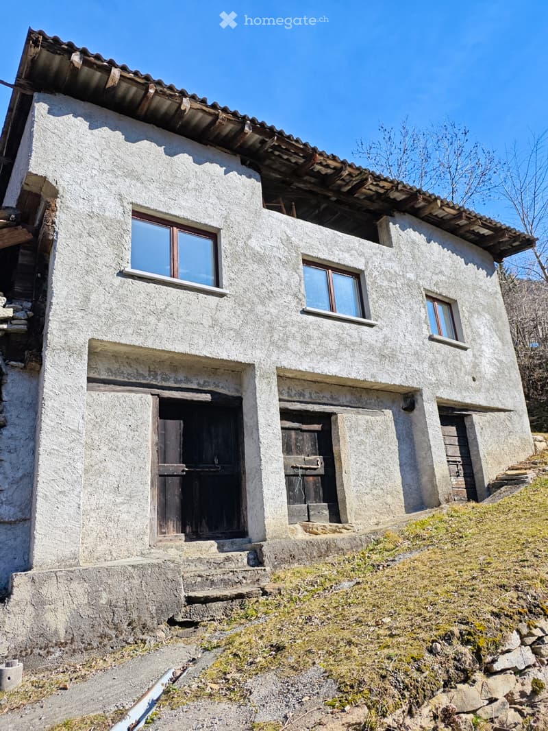 Maison avec vignoble (4)