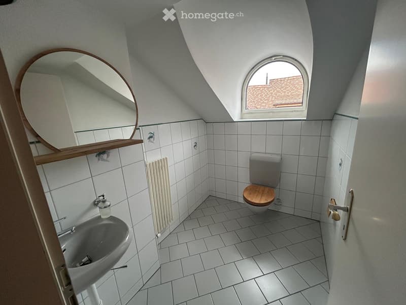 5.5 room apartment above the roofs of Steckborn (4)