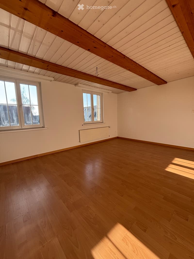 Apartment building (7 units) with renovation and expansion potential (4)