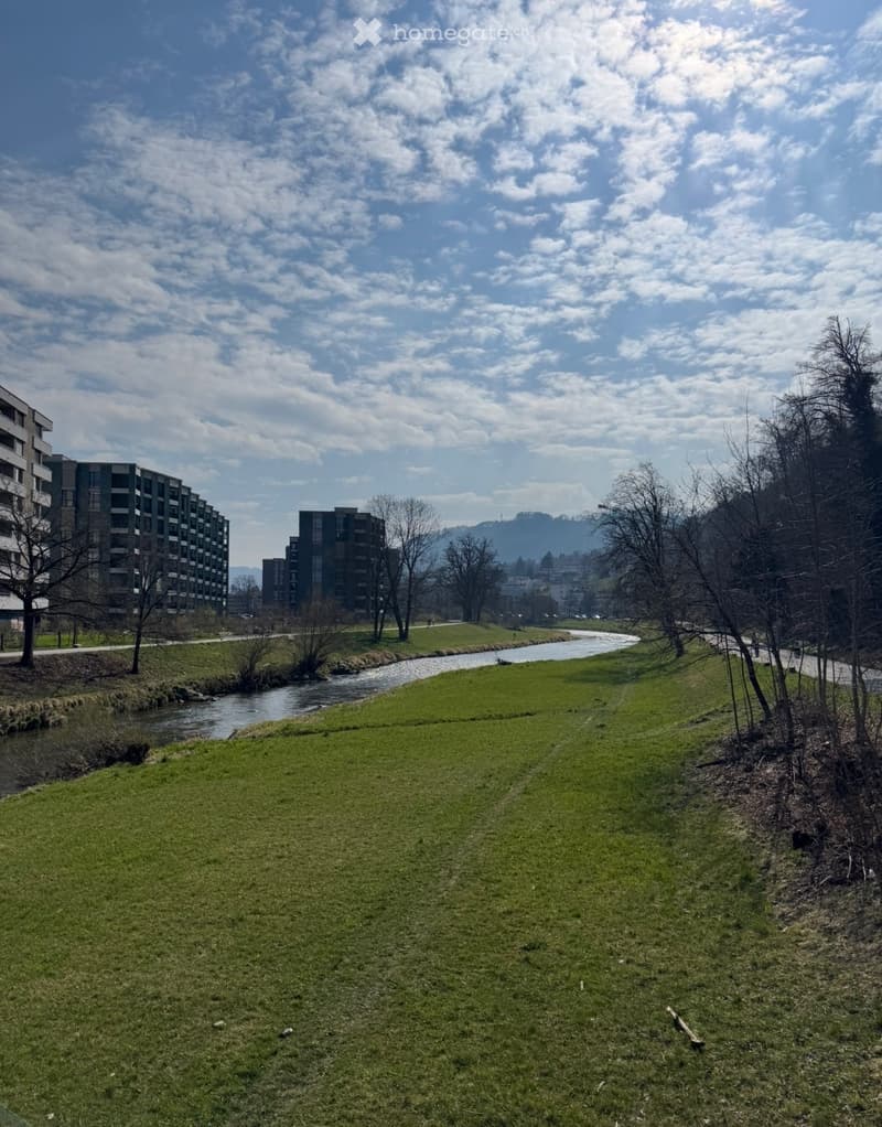 Stilvolle 2,5 Zimmer-Neubauwohnung am Fluss Sihl (5)