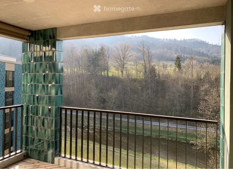 Stilvolle 2,5 Zimmer-Neubauwohnung am Fluss Sihl (2)
