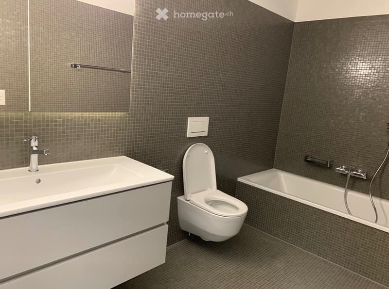 Stilvolle 2,5 Zimmer-Neubauwohnung am Fluss Sihl (3)