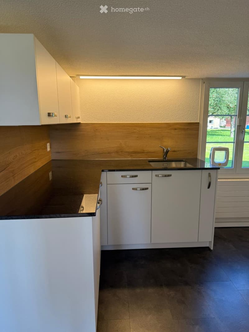 Charmantes 5,5 Zimmer Einfamilienhaus (5)