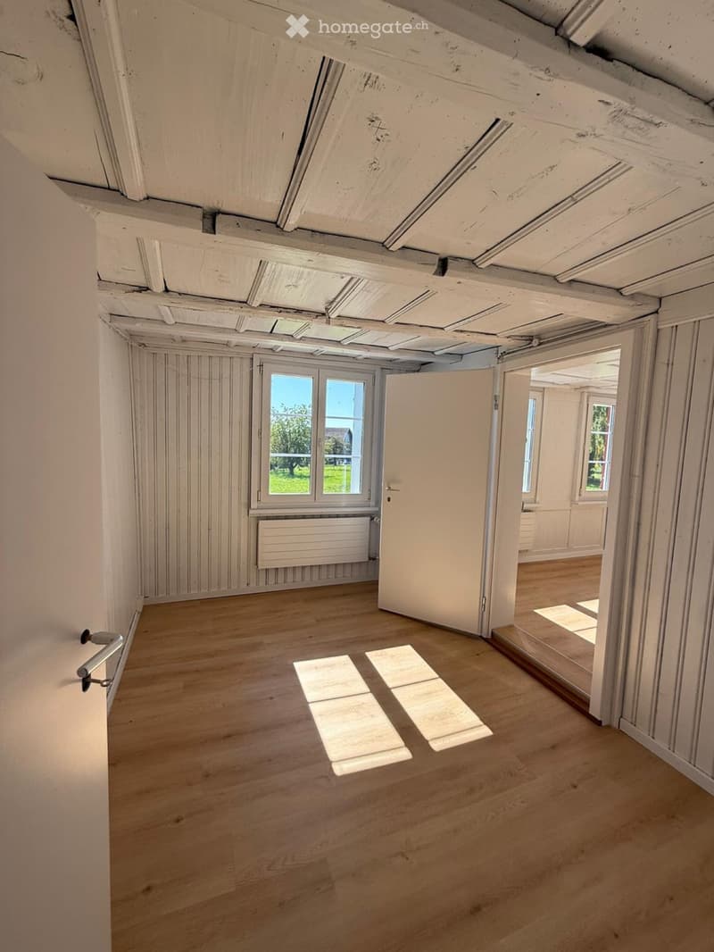 Charmantes 5,5 Zimmer Einfamilienhaus (4)