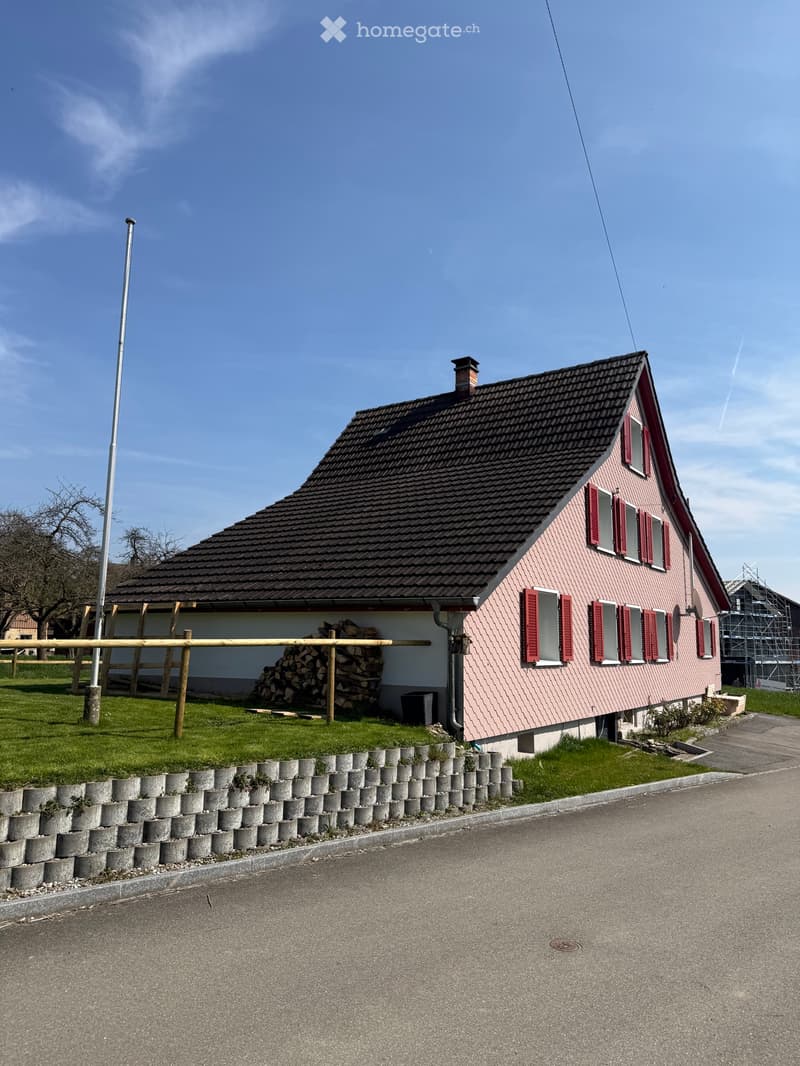 Charmantes 5,5 Zimmer Einfamilienhaus (3)
