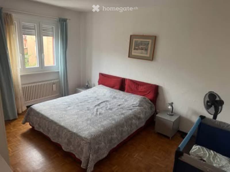 Affittasi appartamento spazioso 3.5 locali a Mendrisio (3)