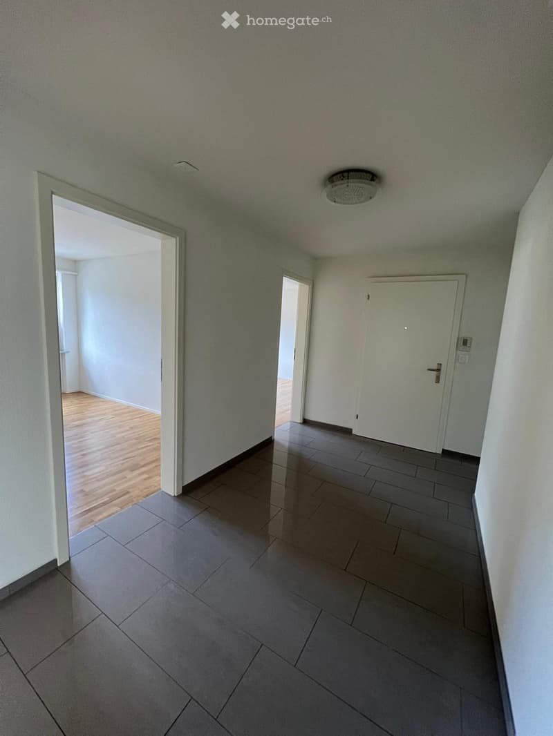 Bright 4.5-room apartment in a quiet location with a view of the Thur (5)