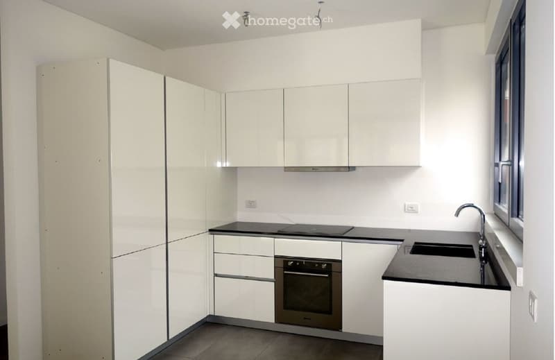 3.5 locali moderno con terrazza e aria condizionata (2)
