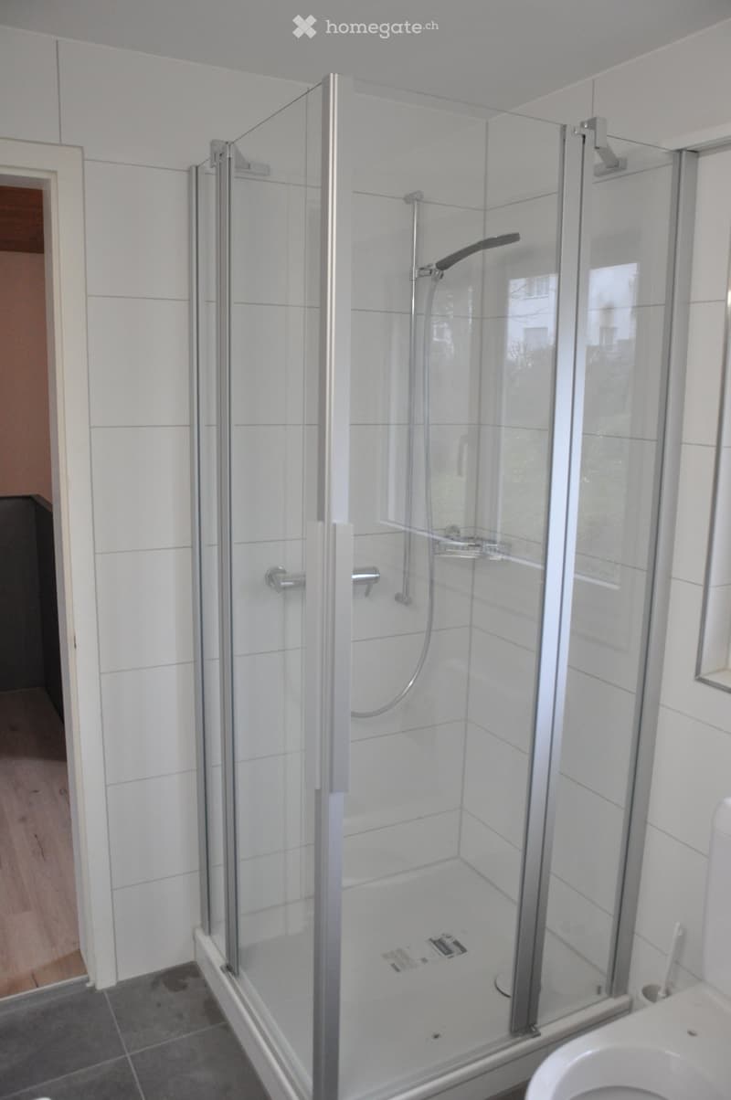Renovated Semi-Detached Single-Family House (2)