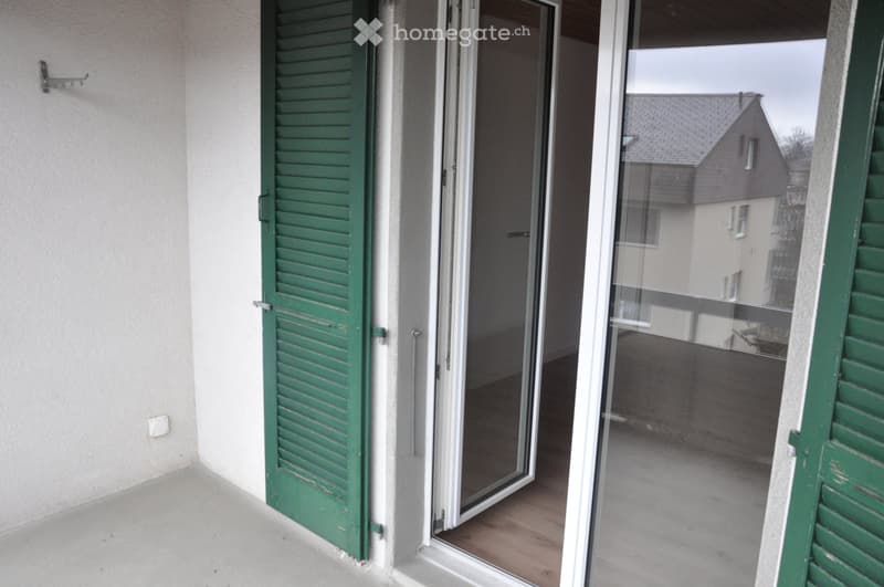 Renovated Semi-Detached Single-Family House (4)