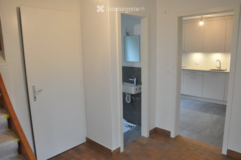 Renovated Semi-Detached Single-Family House (12)