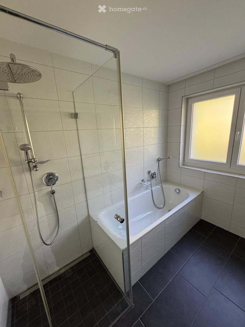 Moderne Wohnung mit Bergblick ab sofort zu vermieten (3)