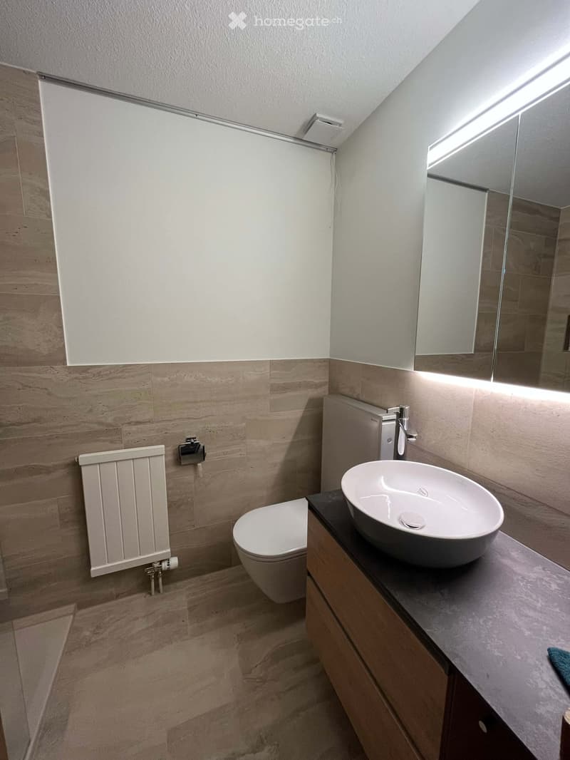Freshly renovated 4.5-room apartment with 2 large terraces (3)