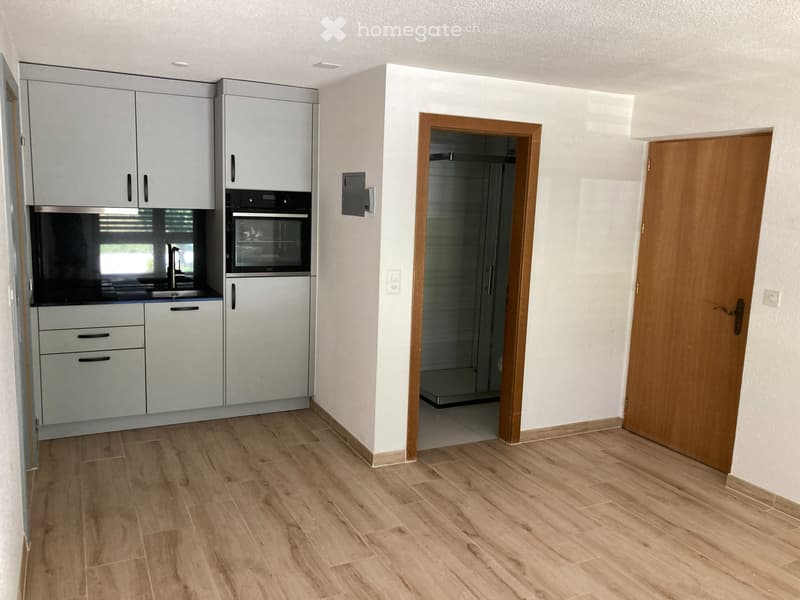 Studio à 3951 Agarn /VS à louer (3)