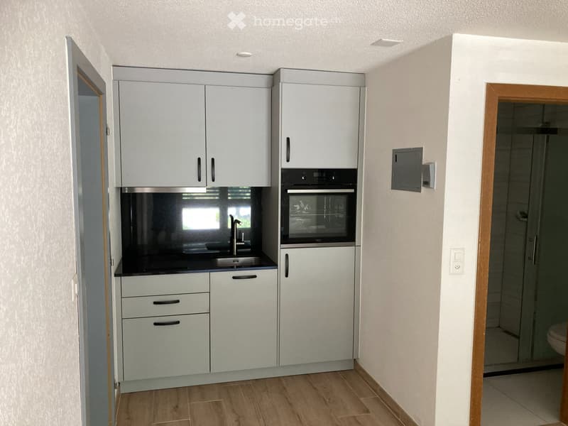 Studio à 3951 Agarn /VS à louer (4)
