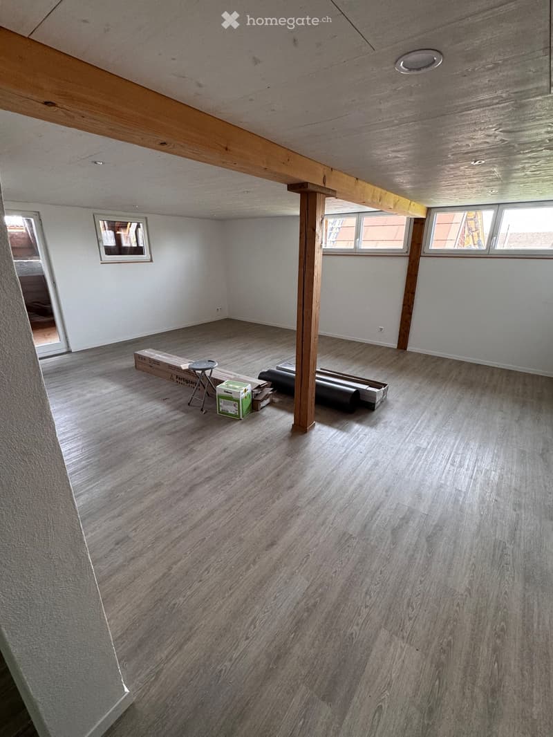 Neue renovierte 4.5-Zimmer-Wohnung, 1.OG, in Rütschelen (5)