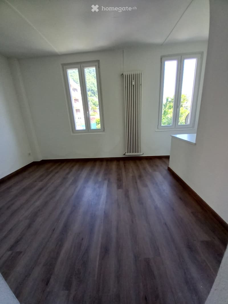 Appartamento 3 locali rinnovato (3)