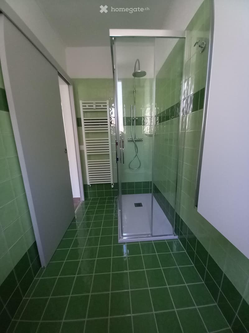 Appartamento 3 locali rinnovato (4)