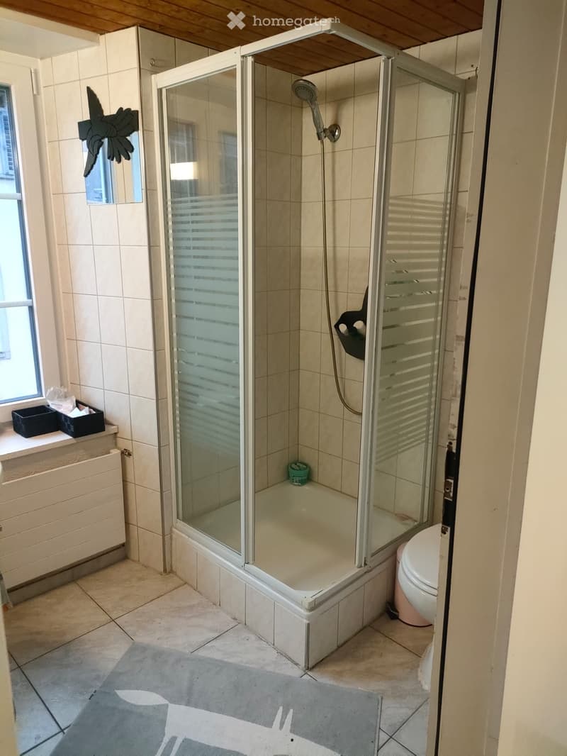 Appartement 1,5 pièces à louer (3)