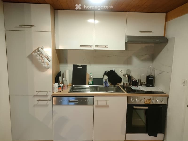 Appartement 1,5 pièces à louer (4)