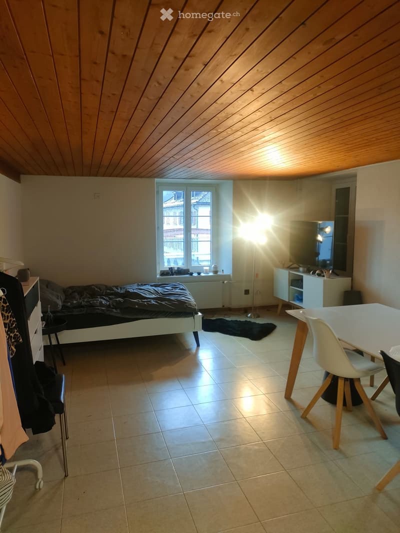 Appartement 1,5 pièces à louer (2)