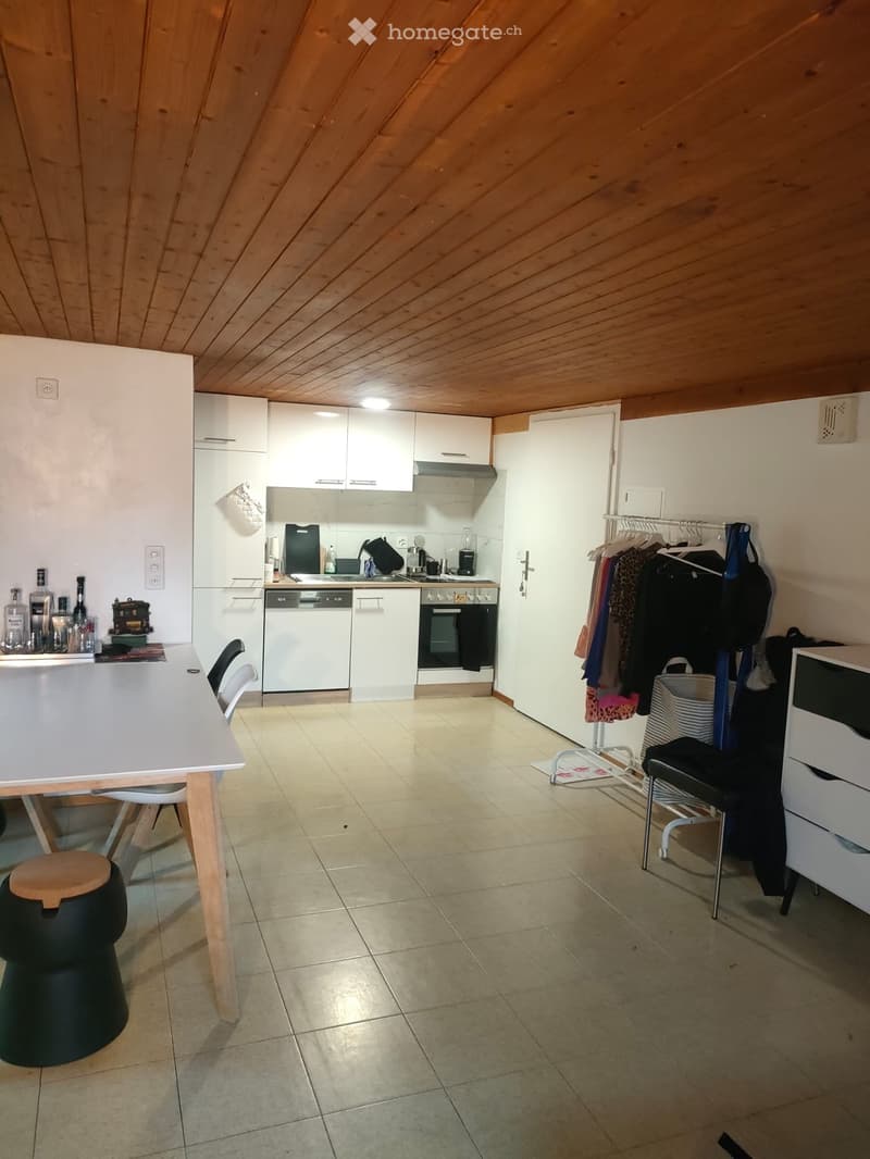 Appartement 1,5 pièces à louer (5)