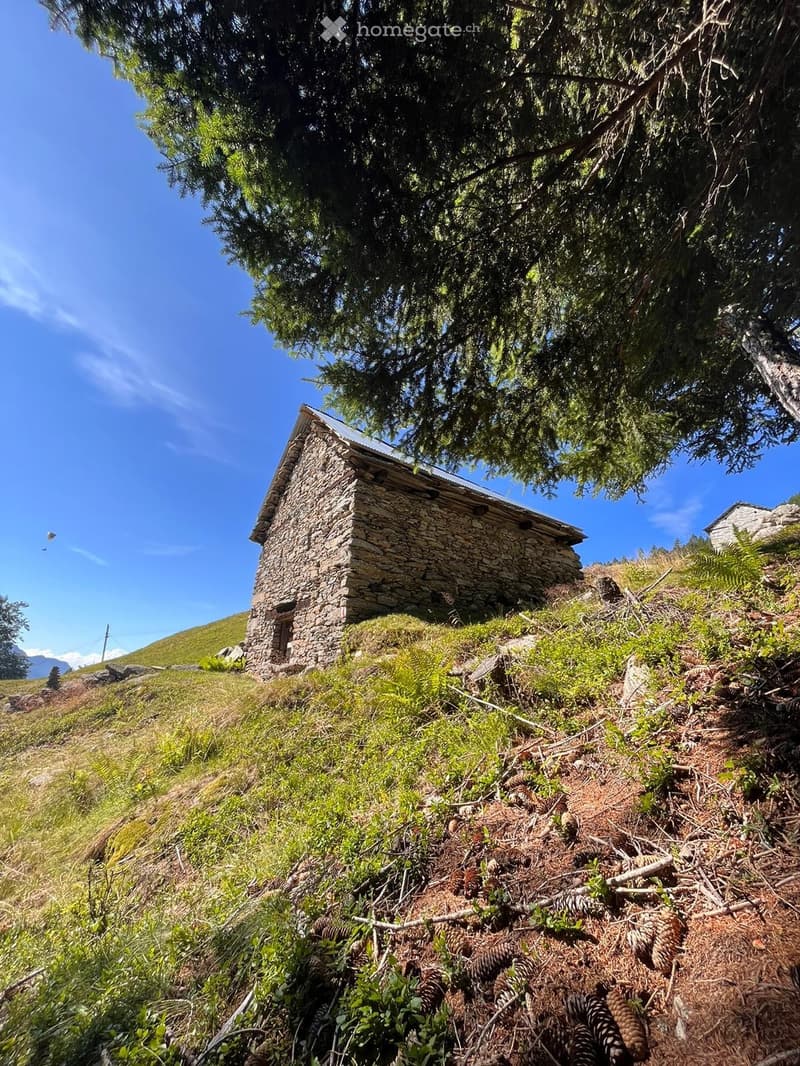 Rustico da riattare (2)