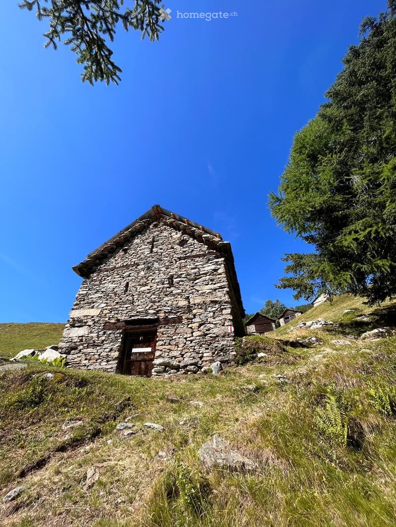 Rustico da riattare (4)
