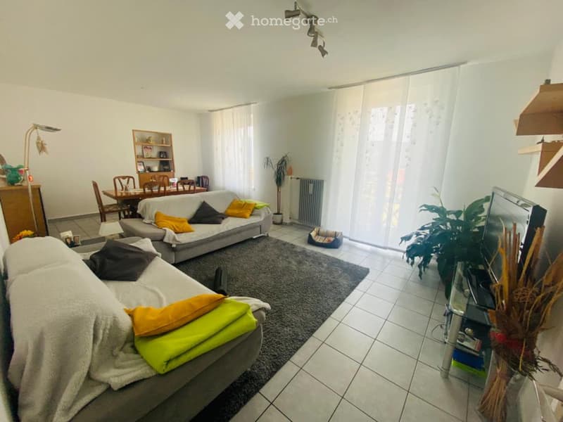 Grande casa 6.5 locali uni- bifamiliare a Morbio Inferiore (4)