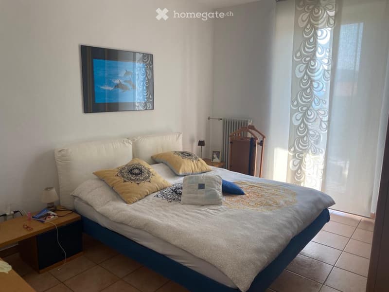 Grande casa 6.5 locali uni- bifamiliare a Morbio Inferiore (3)