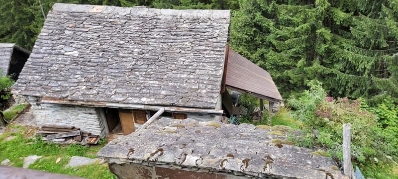 Rustico (3)