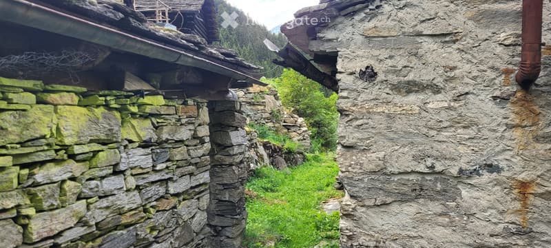Rustico (2)