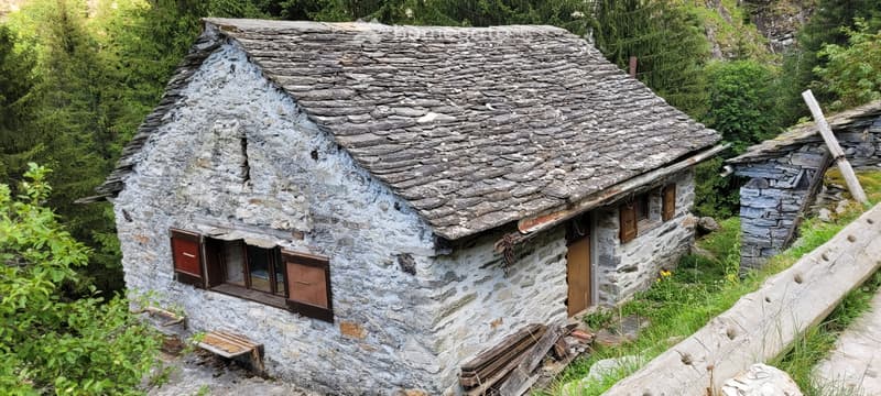 Rustico (5)