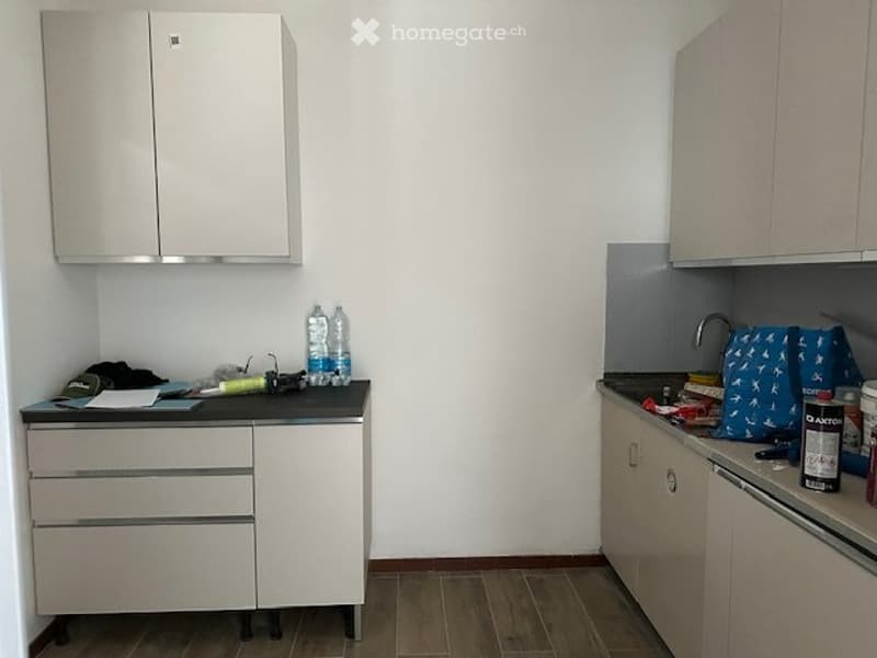 Viganello appartamento 3.5 locali (2)