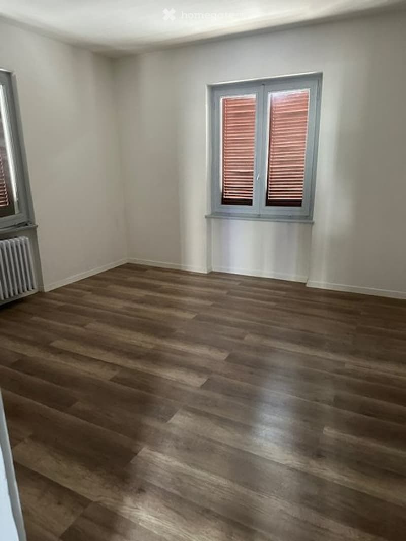 Viganello appartamento 3.5 locali (3)