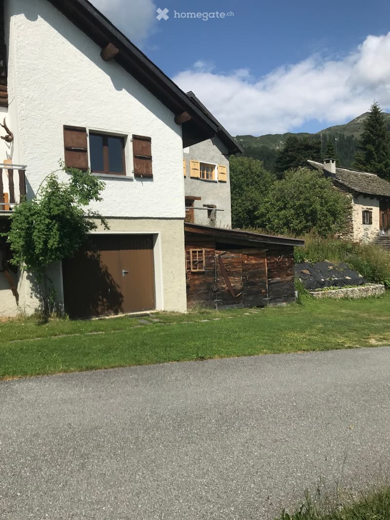 Vendo rustico (4)