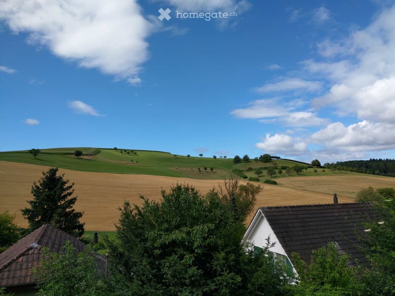 Partage de maison (4)