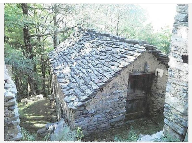 Rustico (stalla) da riattare con prato e bosco (6538mq) (2)