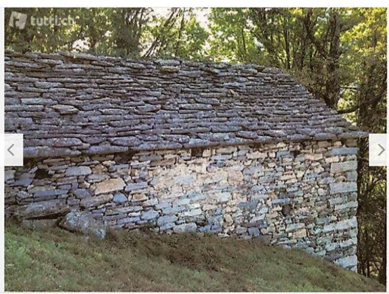 Rustico (stalla) da riattare con prato e bosco (6538mq) (4)