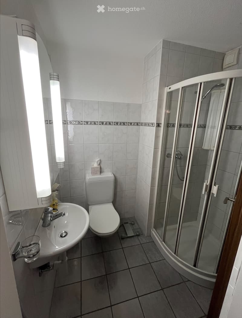 Appartement spacieux de 6 pièces à vendre (2)