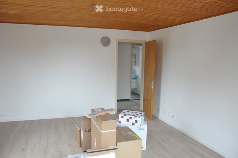 Single-family house with plenty of space, garden, garage, garden house (5)