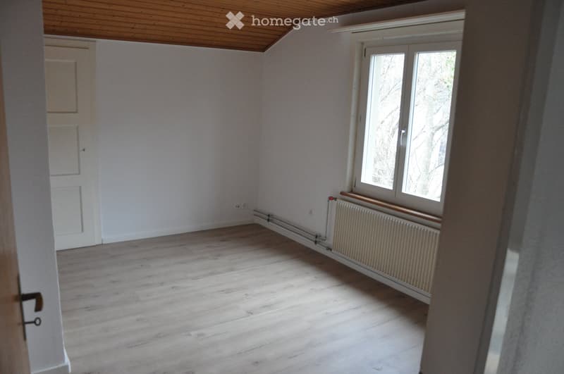 Single-family house with plenty of space, garden, garage, garden house (8)