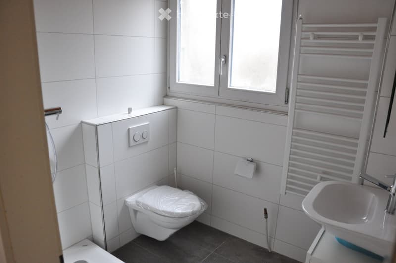 Single-family house with plenty of space, garden, garage, garden house (6)