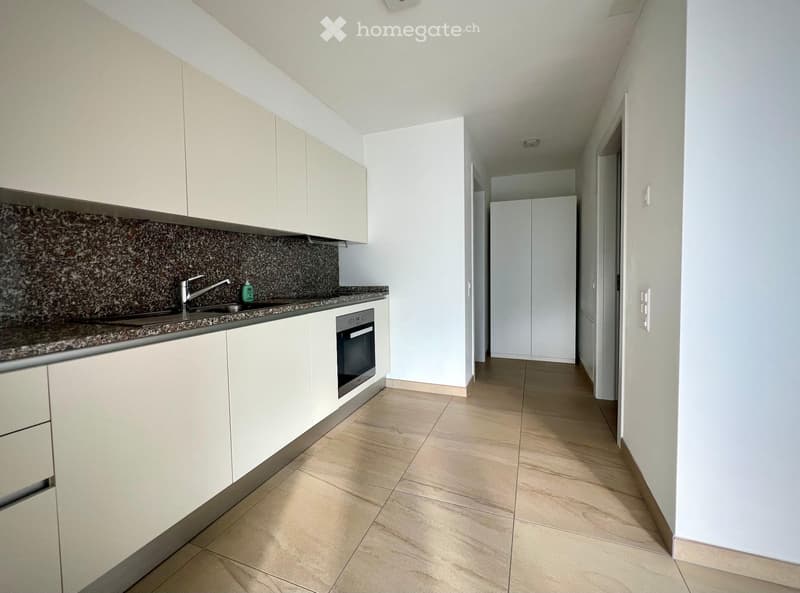 Affittasi splendido appartamento 2.5 locali  non ammobiliato (3)
