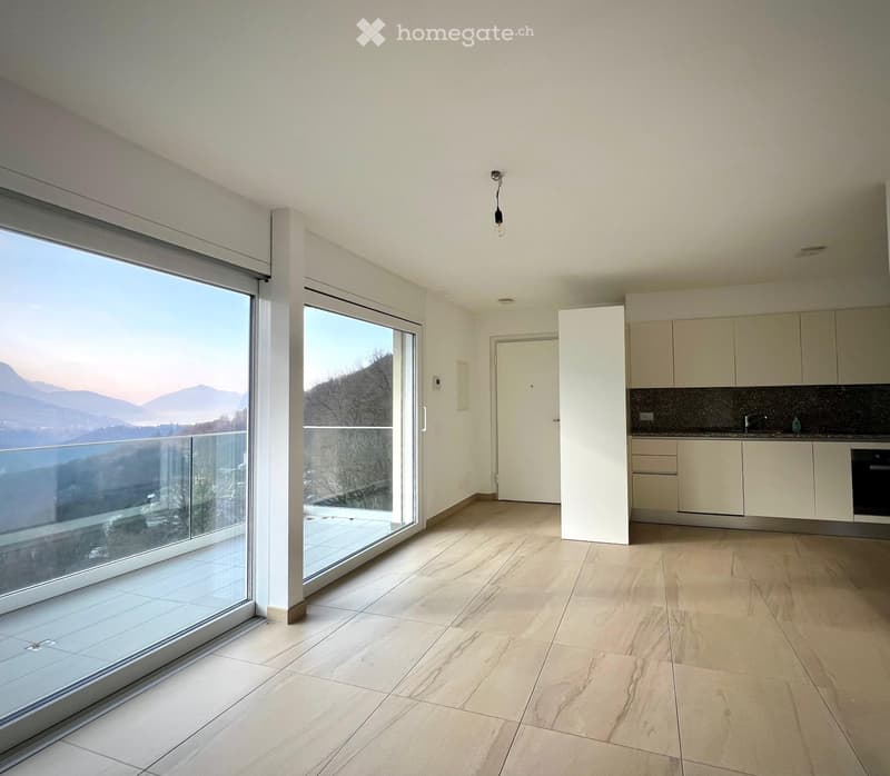 Affittasi splendido appartamento 2.5 locali  non ammobiliato (2)