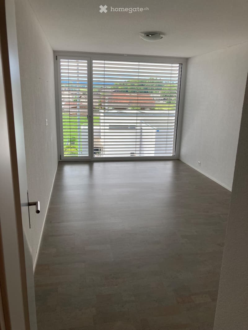 3.5 Zimmerwohnung zu vermieten (2)