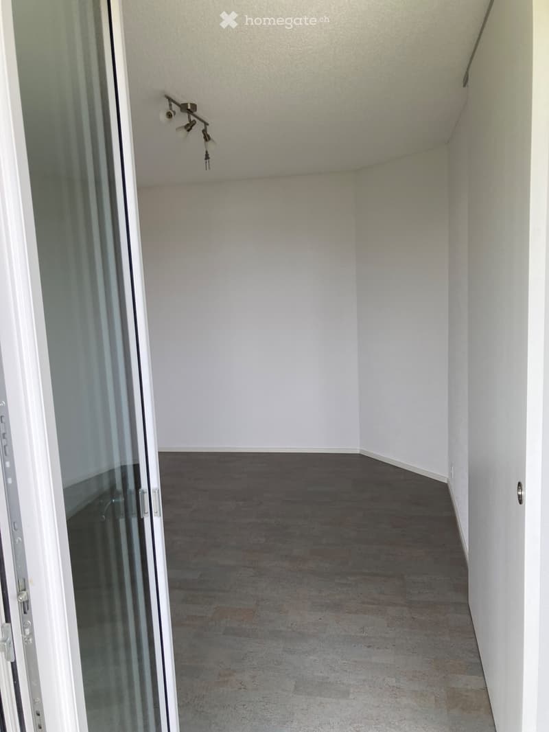 3.5 Zimmerwohnung zu vermieten (4)