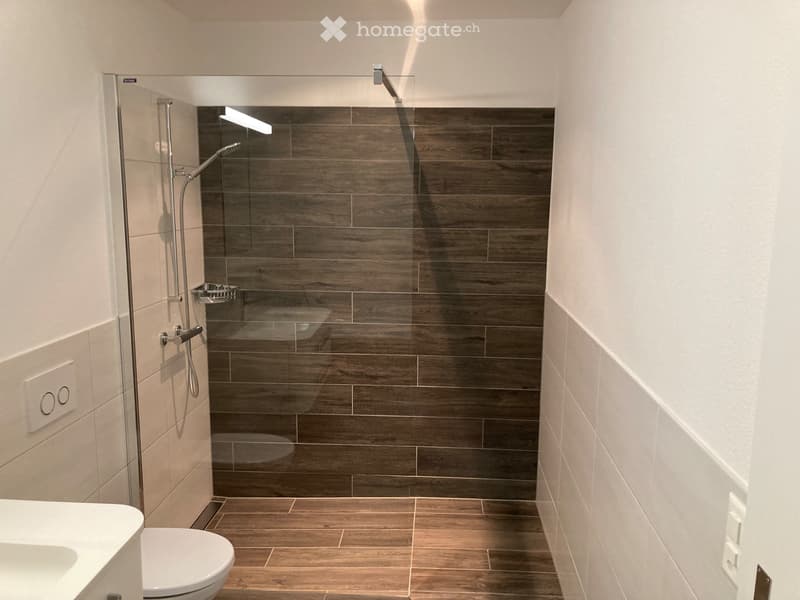 3.5 Zimmerwohnung zu vermieten (5)