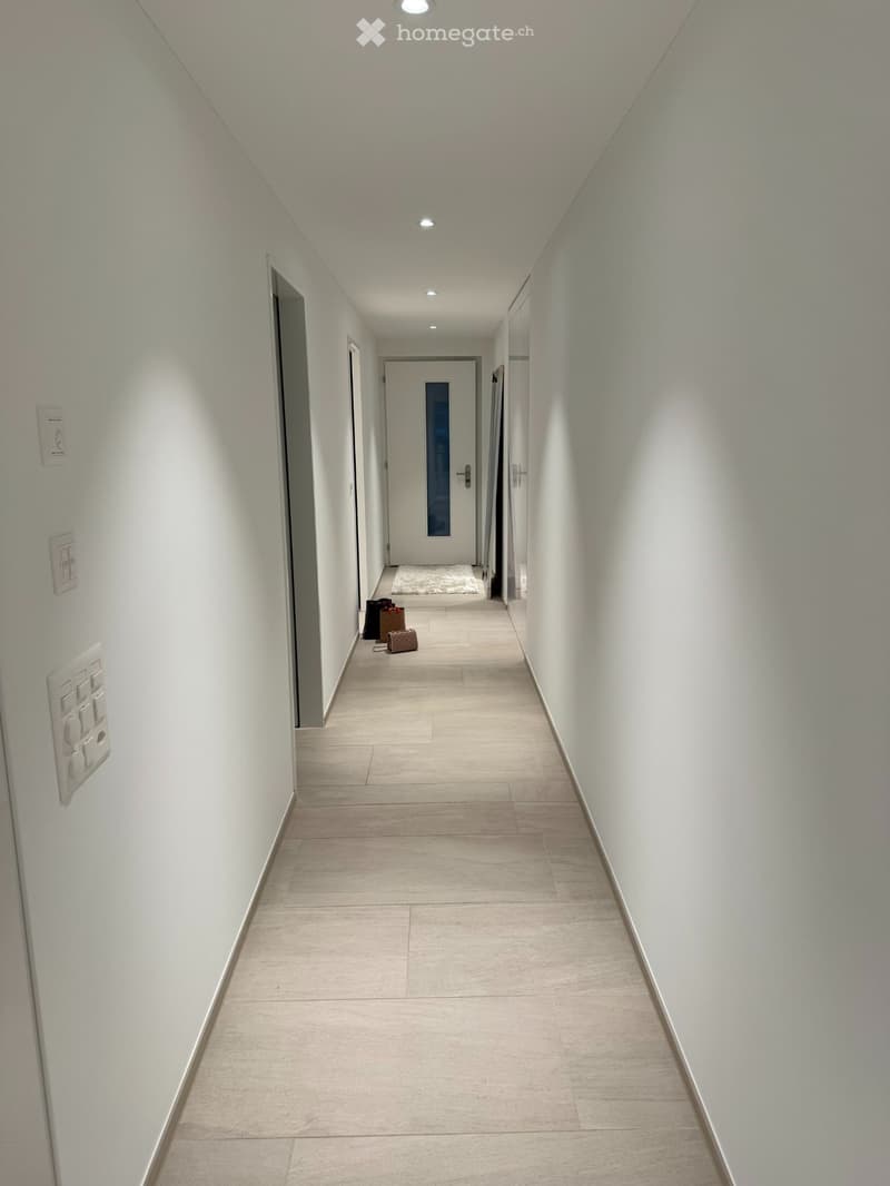 Appartamento loft esclusivo 2 ½ locali in posizione centrale (5)